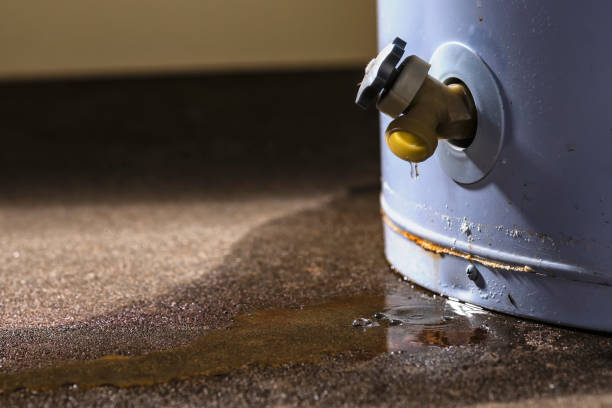 Best Water damage contractors near me  in Key Biscayne, FL