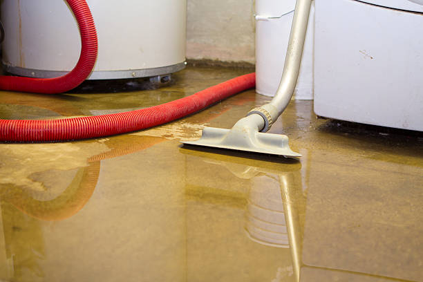  Key Biscayne, FL Water damage restoration Pros
