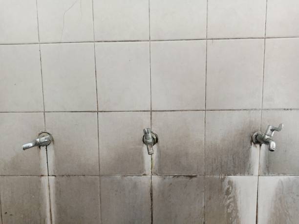 Best Emergency water damage restoration  in Key Biscayne, FL