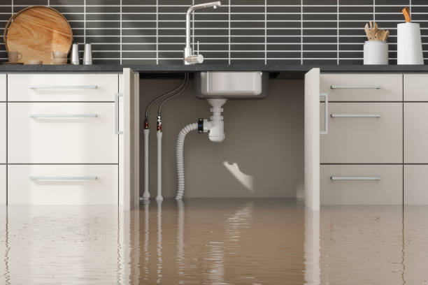 Best Local water damage restoration  in Key Biscayne, FL